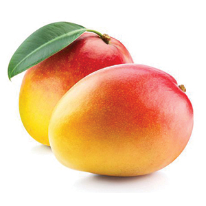Mango hurtownia